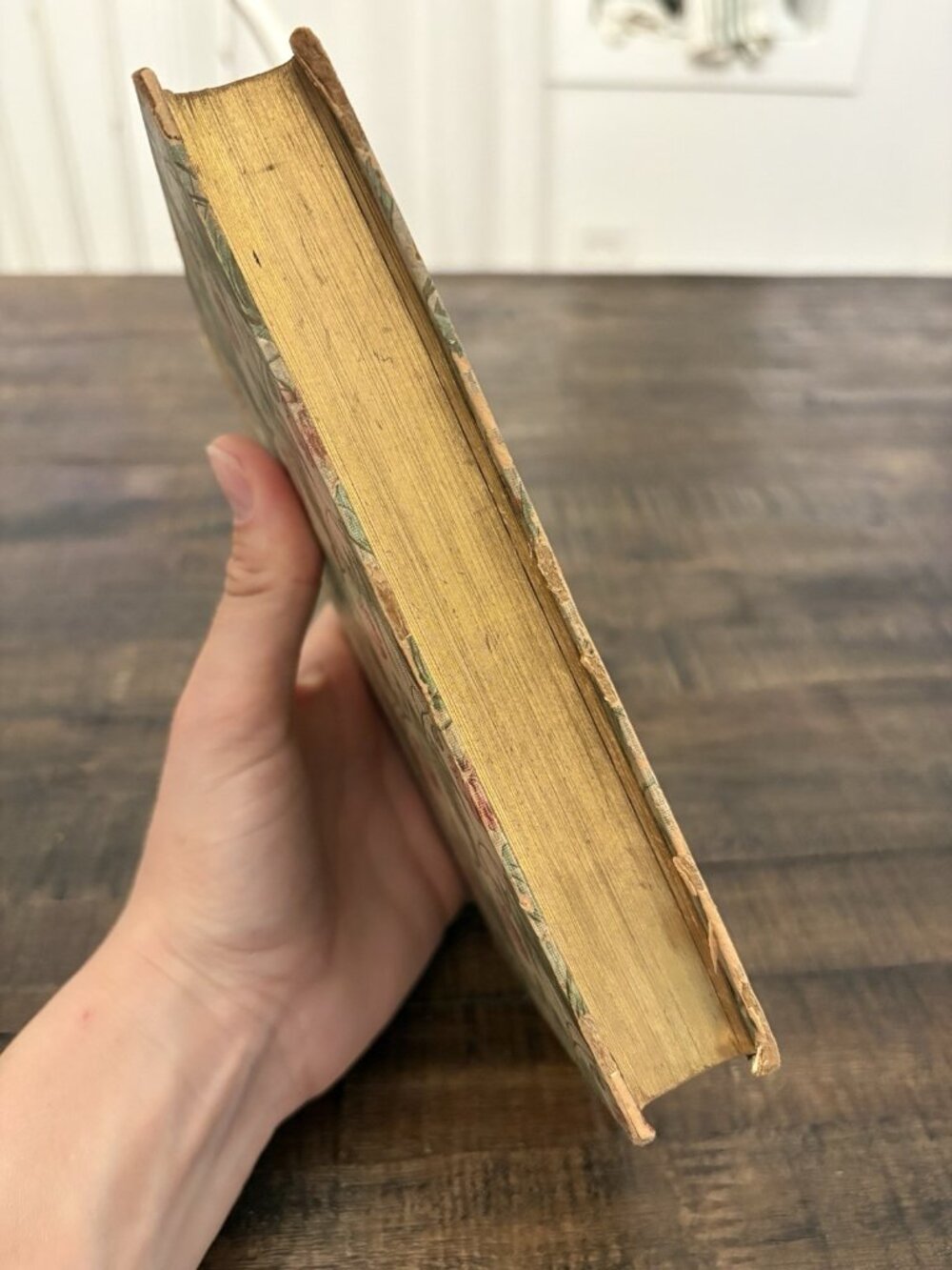 1893 Evangeline, A Tale Of Acadie by Henry Wadsworth Longfellow Rare Flower HC - Picture 9 of 16